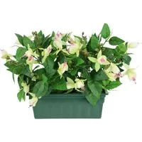 Kunstblume Fuchsien im Kasten 29cm Künstliche Zierpflanze Kunstpflanze Fuchsie, I.GE.A., Höhe 29 cm, Zimmerpflanze Blüten Blumen Seidenblumen Unechte Deko Topfpflanze