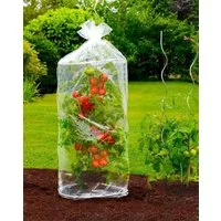 WENKO Gewächshaus Tomaten-Reifehaube, 2 Stück, WENKO, BxTxH: 40 x 40 x 130 cm, 2 x Tomaten-Reifehaube