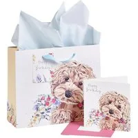 Next Geschenkpapier Geschenktasche und Karte im Set Cockapoo, (1St)