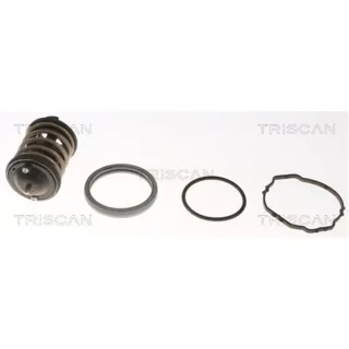 Triscan Thermostat Audi Q7 VW Passat Phaeton Touareg