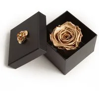 Kunstblume 1 Infinity Rose haltbar 3 Jahre ewige Rose in Box Rose, ROSEMARIE SCHULZ Heidelberg, Höhe 6.5 cm, Echte Rose haltbar bis zu 3 Jahre, Made in Germany