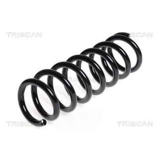 Triscan Feder hinten Citroen Mitsubishi Peugeot 87501042