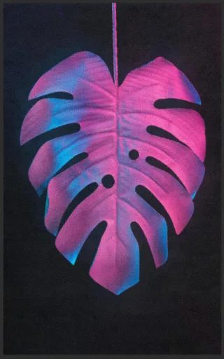 Fussmatte 7654 | Größe: 60 cm x 90 cm