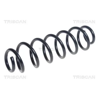 Triscan Feder hinten Audi A3 VW Golf 875029404