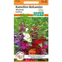 SAMEN PFANN Blumensamen Kamelien-Balsamine (Antischnecken) - Saatgut Samen, Impatiens balsamina