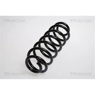 Triscan Feder hinten Ford Transit Seat Toledo