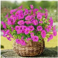 Kunstblume Künstliche Blumen Künstliche Wetterfest Petunie, FOUORTUNATE-BEE, Gefälschte Blumen für Balkonkasten Pflanzgefäß Innen Outdoor