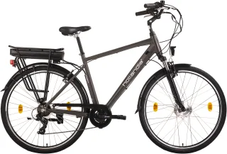 Hollandia "Zagon" 6 Gang Shimano Tourney Schaltwerk Kettenschaltung Frontmotor 250 W Pedelec, Elektrofahrrad für Damen u. Herren