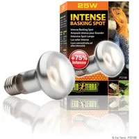 Exo Terra Terrarienleuchte Intense Basking Spot - Tageslichtlampe