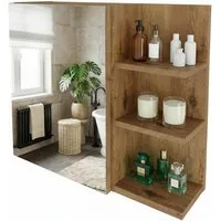 TREND WERK Spiegelschrank Badezimmer mit Ablage & Stauraum (59×16×50 cm Hängender Badezimmerschrank zur Wandmontage mit Regal) – modern & pflegeleicht