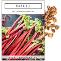 HappySeed Blumensamen Roter Rhabarber Samen - Rheum rhabarbarum, Blumen