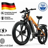 PIXAR E-Bike PIXAR E-Bike Fatbike 20 Zoll, 250 W, Dual-Akku 48 V 35 Ah, 7-Gang, 7 Gang, Heckmotor, 1680 Wh