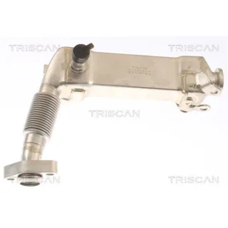 Triscan AGR-K?hler BMW 1er 3er 5er 6er X3 X5 X6