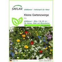 SAFLAX Blumensamen SAFLAX - Samen - Kleine Gartenzwerge