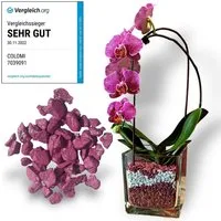 colomi Pflanzgranulat Spezial Pflanzboden für Orchideen - patentiert weiss, 1 Liter