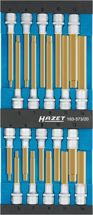 HAZET Schraubendreher-Steckschlüsseleinsatz Satz Einlage 20-teilig - 163-573/20