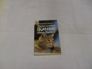 Warum machen Katzen einen Buckel? : Catwatching - die Körpersprache der Katzen.