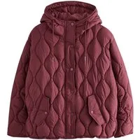 Next Steppjacke Leichte Steppjacke (1-St)