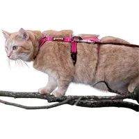 Beroni Sicherheitsgeschirr Katzengeschirr Beroni Safety Harness Pro ausbruchsicher, auch für Hunde, nicht über Kopf, reflektierend Katzengeschirr