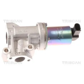 Triscan AGR-Ventil Hyundai Kia 881343001