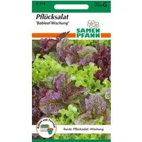 SAMEN PFANN Gemüsesamen Pflücksalat, Baby Leaf Mischung - Saatgut Salat-Samen, Lactuca sativa