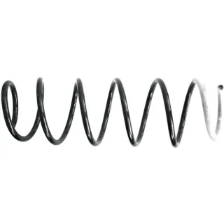 Sachs Feder vorne Citroen C3 993152
