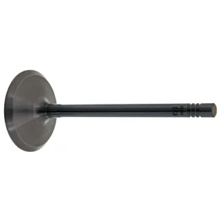 Febi Einlassventil Audi A3 Seat Altea Leon Skoda Octavia VW Golf 1,6
