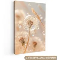 OneMillionCanvasses® Leinwandbild Löwenzahn - Wasser - Natur - Stillleben - Modern, Fotodruck (1 St), Leinwand Canvas Wandbild, Wanddekoration 20x30 cm