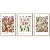 homestyle-accessoires Poster Bilder Wandbilder Bilderset VINTAGE FLOWERS BOTANIQUE 3er Set, - OHNE BILDERRAHMEN - Sorgfältige & sichere Verpackung