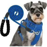 Reichstadt Hunde-Geschirr RS Pets Hundegeschirr & Leinen Set 25RSP083-4, Polyester, atmungsaktives Netzgewebe und robuster Oxford-Stoff