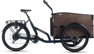 Adore "Urban Deluxe" 7 Gang Shimano Acera Schaltwerk Kettenschaltung Heckmotor 250 W ABUS Shield 5650 Rahmenschloss