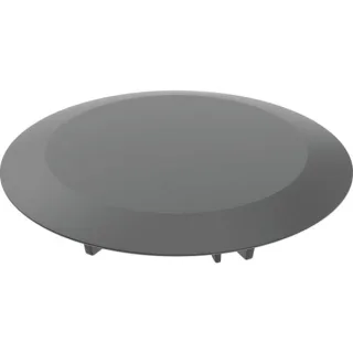 Geberit Ablaufdeckel d52 für DW-Ablauf 150280141