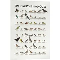 Posterlounge Wandbild Einheimische Singvögel, Iris Luckhaus, erhältlich als Poster, Leinwandbild, Wandsticker oder Acrylglasbild