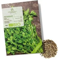 Growgreens Kräutersamen BIO Petersilie Samen glatt - Küchenkräuter Saatgut bio. Anbau 300 Korn