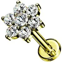 Taffstyle Piercing-Set Tragus Labret Ohr Stecker Piercing flach Zirkonia Blume Gold 6mm (Helix Rook Lobe Daith Conch Orbital Snug Ohrring Piercing), Helix Innengewinde Ohrstecker Ohrpiercing Cartilage Knorpel Ohr Tragus