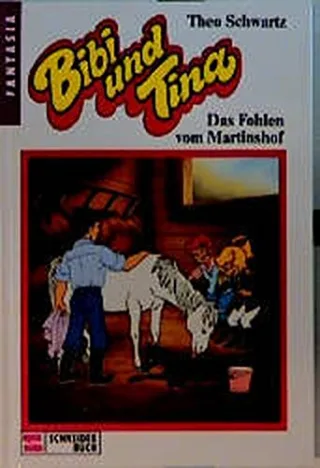 Bibi und Tina Bd.1 Das Fohlen vom Martinshof