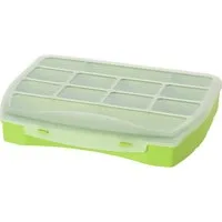 Koopman Aufbewahrungsbox Multibox 12 Fächer Sortieren Deckel (Stück, 1 St., Packung), Grün, Klappdeckel, 25x20x4cm, Robust, Durchsichtig