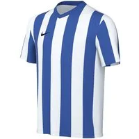 Nike Fußballtrikot Nike Performance Division V Striped Trikot Kids Teamsport