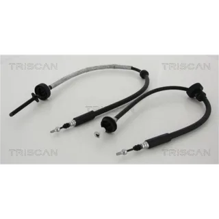 Triscan Handbremsseil Hinten Renault Grand Scenic