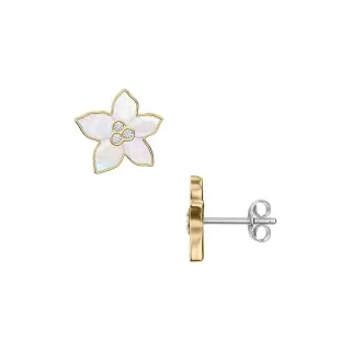 Fossil Ohrstecker Sutton JF04973710