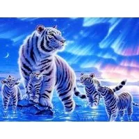 Mireta-Kreativ Kreativset Diamond Painting Vollbild 30x40 mit runden Steinen