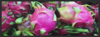 Küchenteppich Drachenfrucht 4384 | Größe: 75 cm x 120 cm