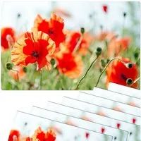 matches21 HOME & HOBBY Platzset Abwaschbare Tischsets 8er Set Sommer Mohn-Blumen, (8-St), Platzsets als Tisch-Untersetzer und Tisch-Deko für Esstisch Teller