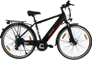 Maxtron "MT 11" 8 Gang Shimano Altus Schaltwerk Kettenschaltung Heckmotor 250 W Pedelec, Elektrofahrrad für Herren