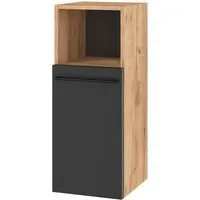 Planetmöbel Midischrank Midischrank LUX Gold Eiche / Anthrazit