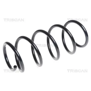 Triscan Feder vorne Fiat Grande Punto 1,4