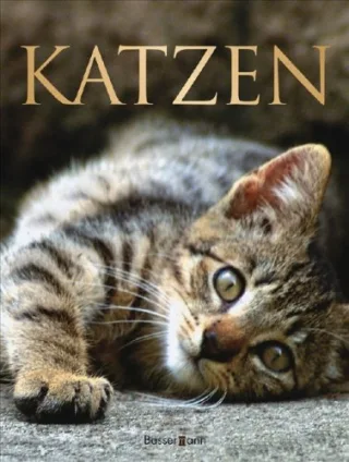 Katzen: Verhalten . Pflege und Haltung . Rassen [Gebundene Ausgabe] [2008] Claire Bessant