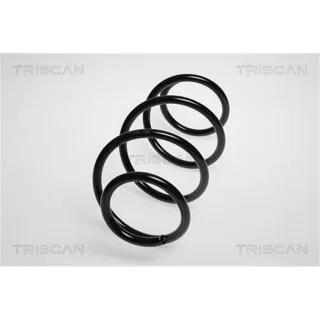 Triscan Feder vorne Renault Clio 3 87502557