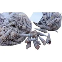 Deko-Impression Streudeko 2 Netze Muscheln 4-6 cm, beige. Mediterrane Deko Streudeko. Maritim, (2-tlg)