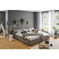 meise.möbel Polsterbett CUBE in Cord, Familienbett 240x200cm, wahlweise mit Lattenrost, verschiedene Farben erhältlich